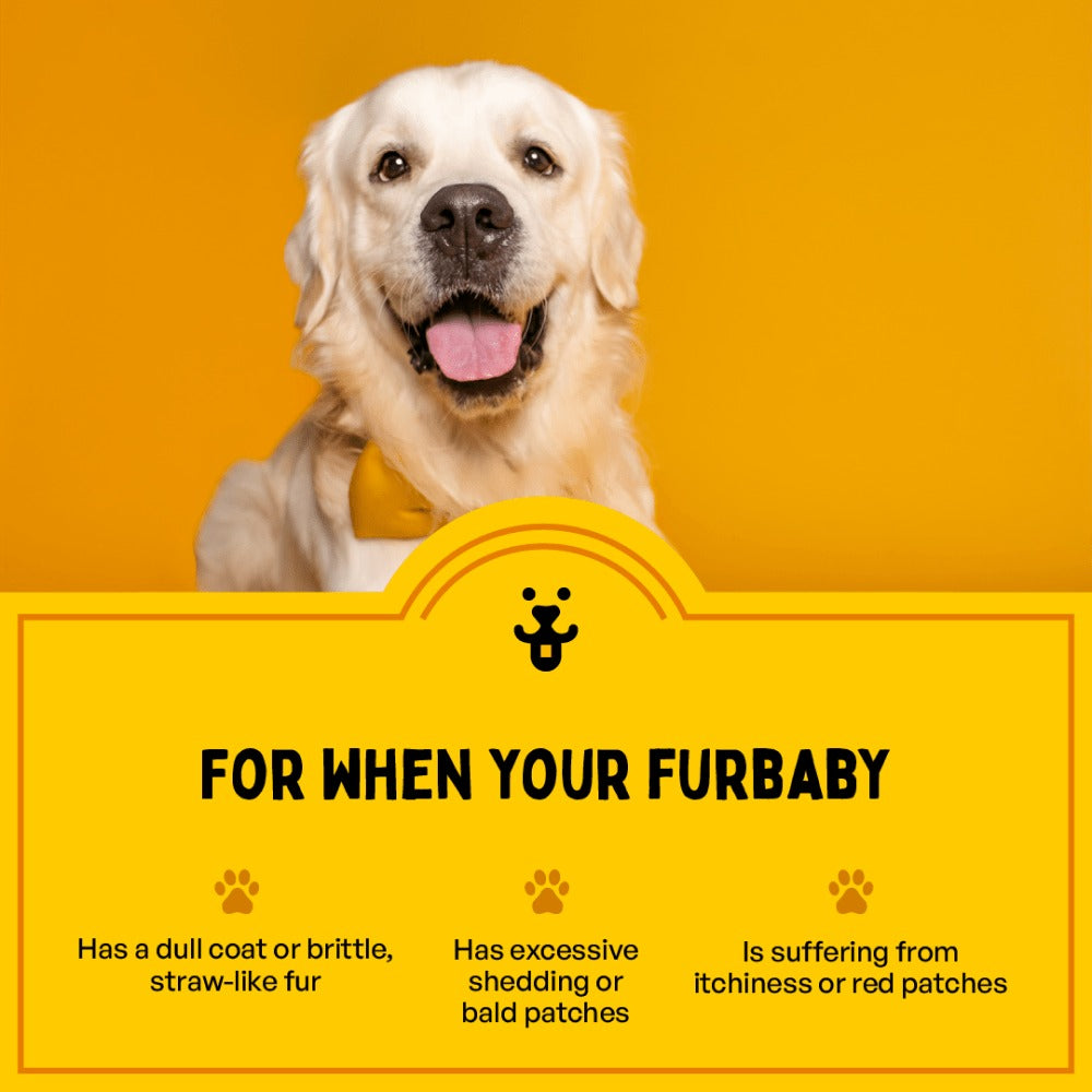 Furlicks Skin & Coat Supplement and Chip Chops Chicken and Codfish Rolls Treats Combo for Dogs
