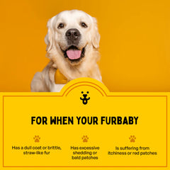 Furlicks Skin & Coat Supplement for Cats and Dogs