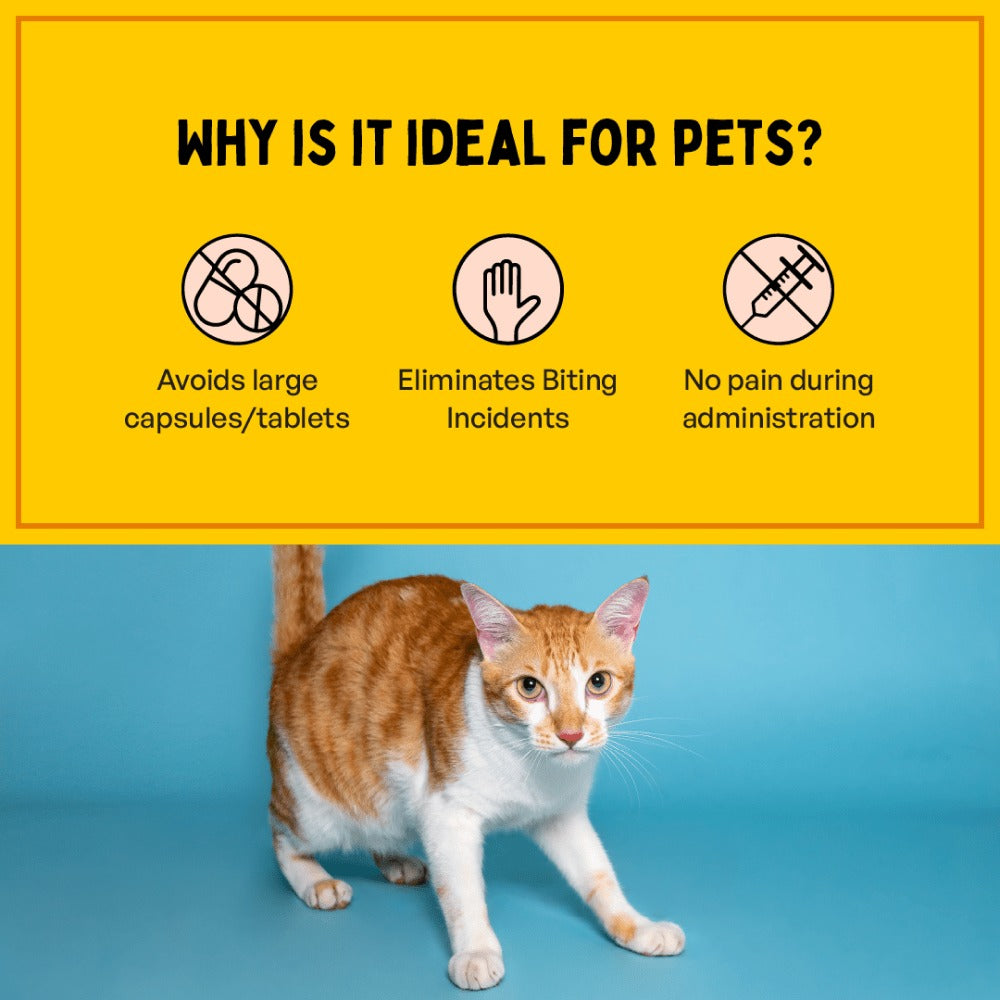 Furlicks Skin & Coat Supplement and Himalaya Furglow Skin and Coat Tonic Combo for Dogs and Cats