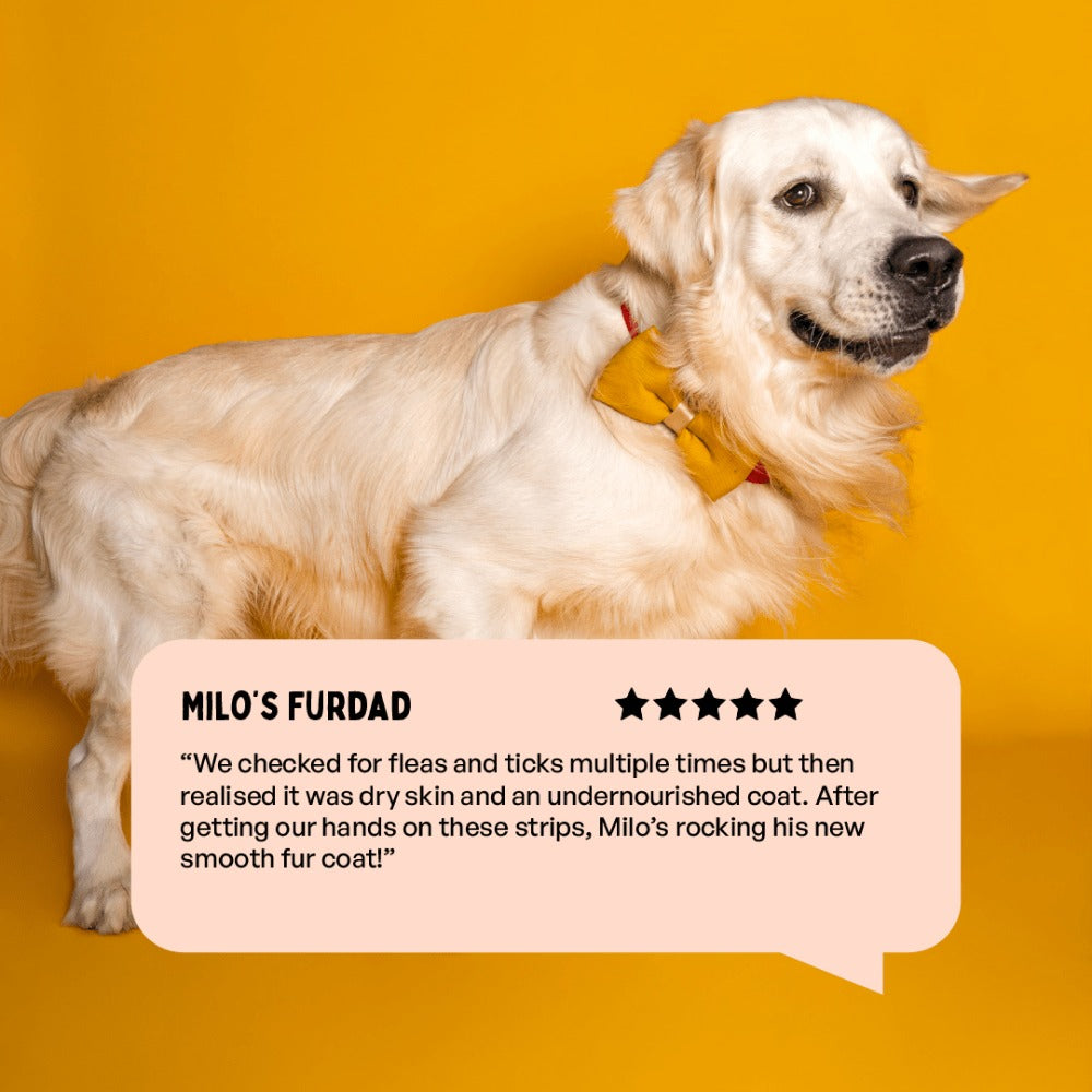 Furlicks Skin & Coat Supplement and Chip Chops Chicken and Codfish Rolls Treats Combo for Dogs