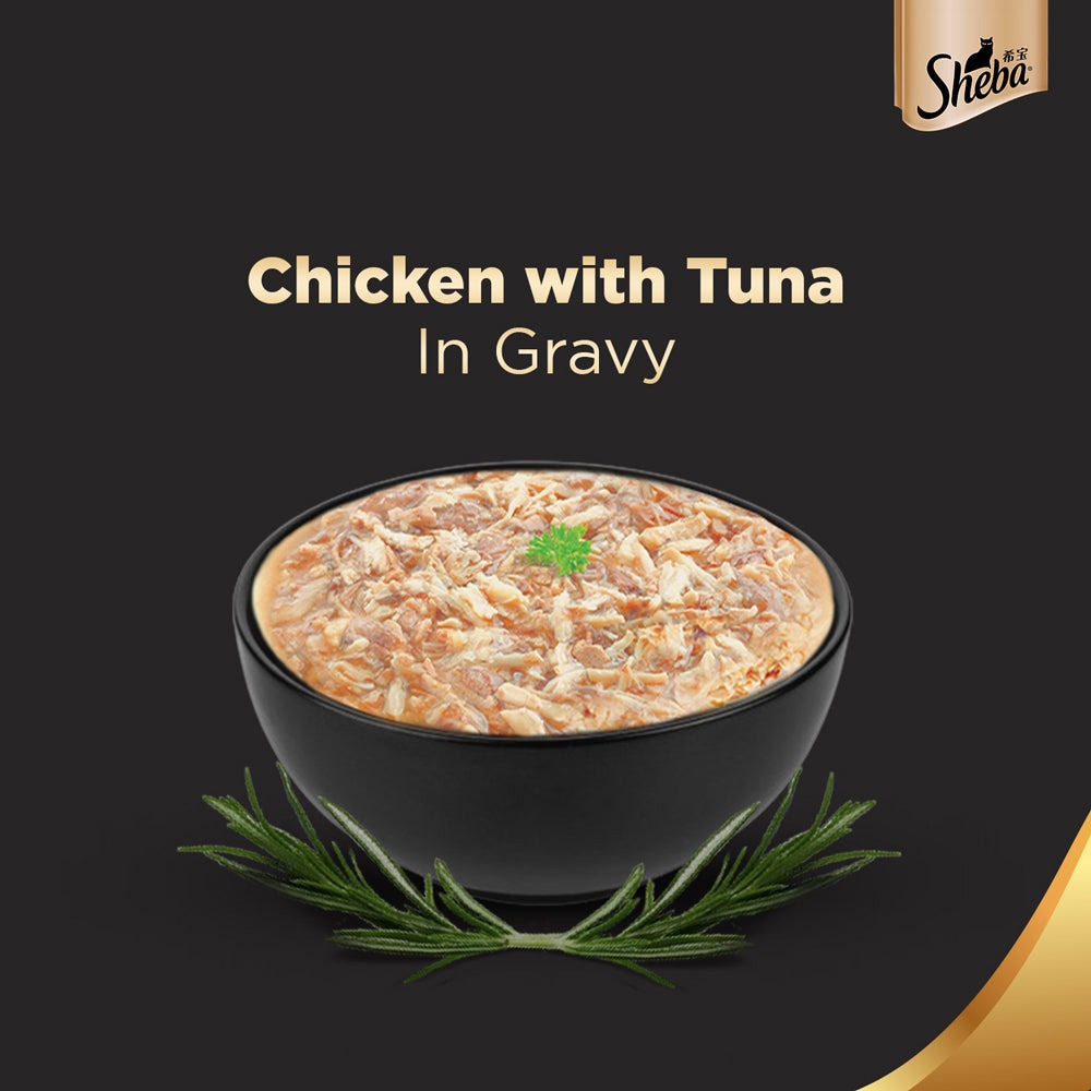 Sheba Chicken With Tuna In Gravy Premium Adult Cat Wet Food and Chicken All Life Stage Cat Dry Food Combo