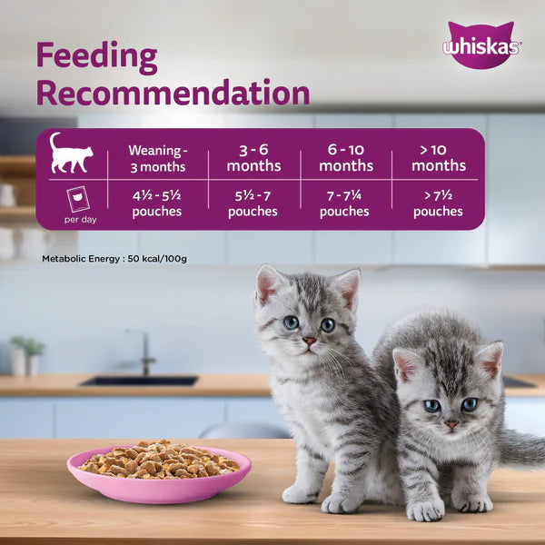 Whiskas Tuna in Jelly Kitten Cat Wet Food (80g)