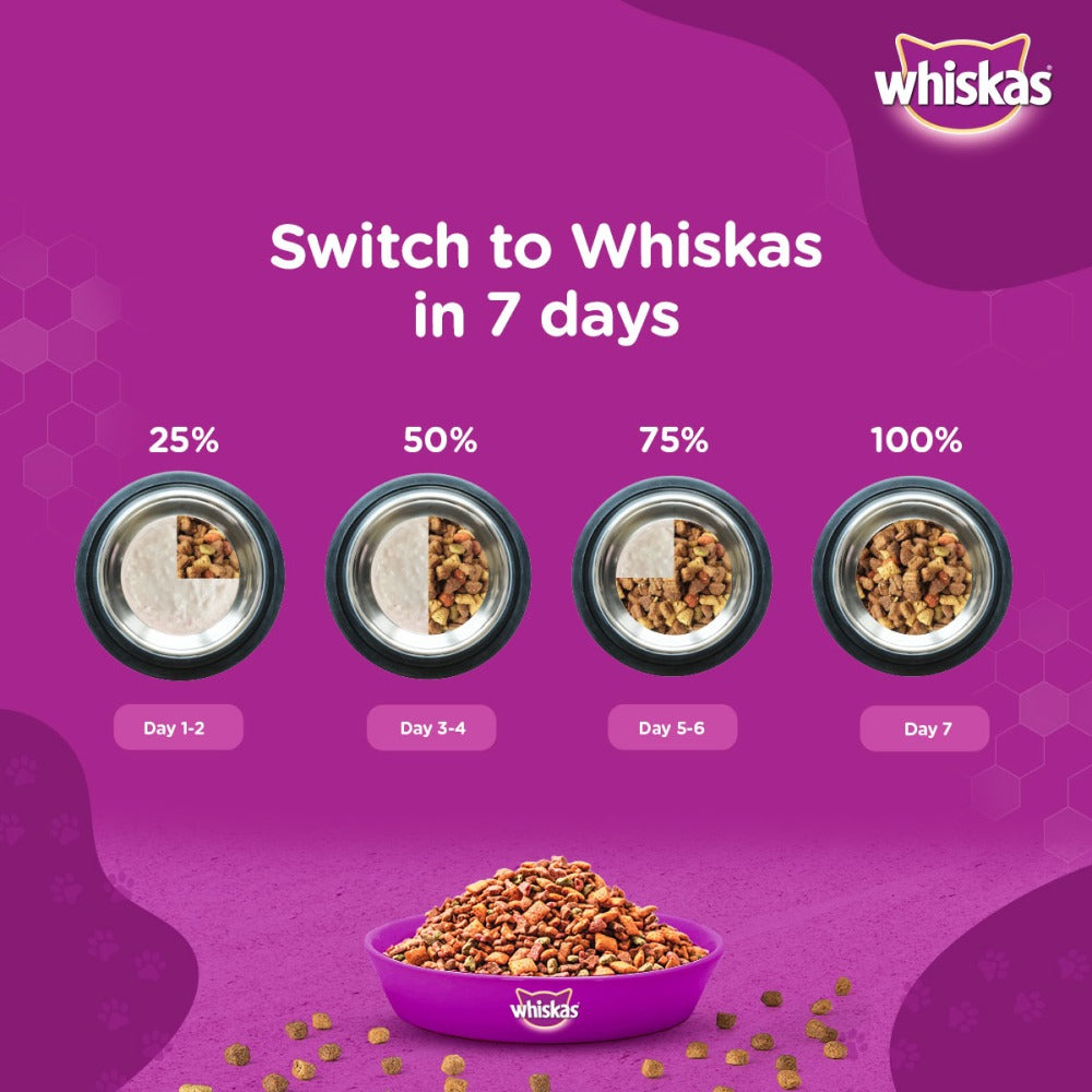 Whiskas Ocean Fish and Tuna Flavour Adult Cat Dry Food Combo