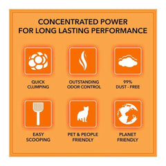 Pet Pattern Natural Clay Scented Quick Clumping Cat Litter