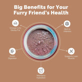 PetStrong Chicken and Egg in Gravy Wet Food for Dogs