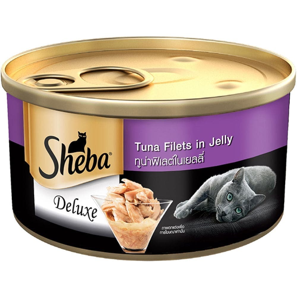 Sheba Pure Tuna Filets in Jelly Premium Cat Wet Food and Salmon Flavour Irresistible All Life Stages Cat Dry Food Combo