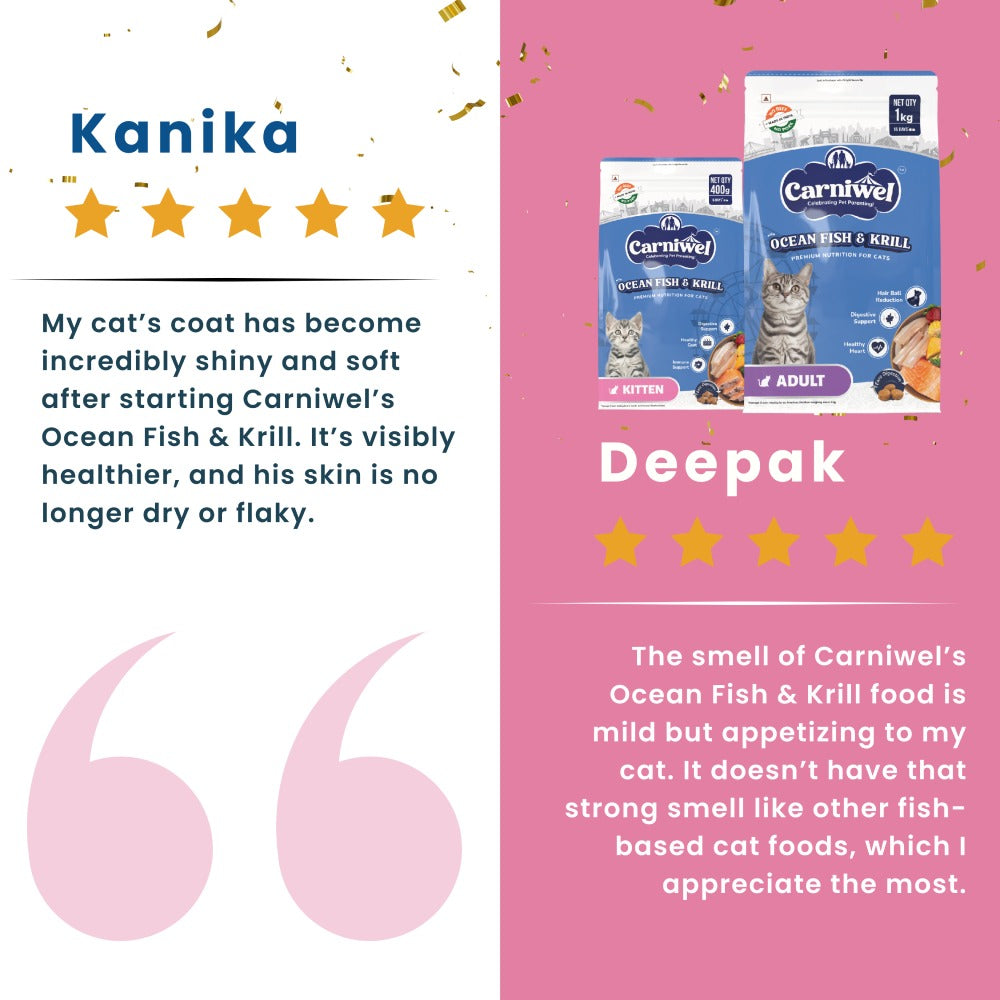 Carniwel Ocean Fish and Krill Dry Food and Whiskas Tuna in Jelly Kitten Cat Wet Food Combo