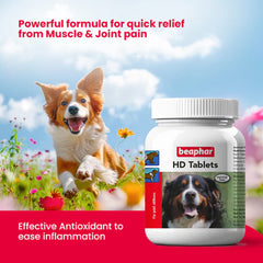 Beaphar HD Hip Dysplasia & Joint Problems Supplement Tablets for Dogs