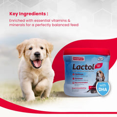 Beaphar Lactol New Born Milk Replacement Powder for Puppies