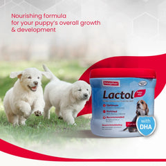 Beaphar Lactol New Born Milk Replacement Powder for Puppies