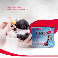 Beaphar Lactol New Born Milk Replacement Powder for Puppies