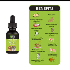 Cure By Design 1000mg CBD Relief Oil for Large Dogs (30ml)