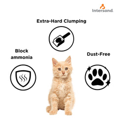 Intersand Scented Odour Lock Calming Breeze Cat Litter