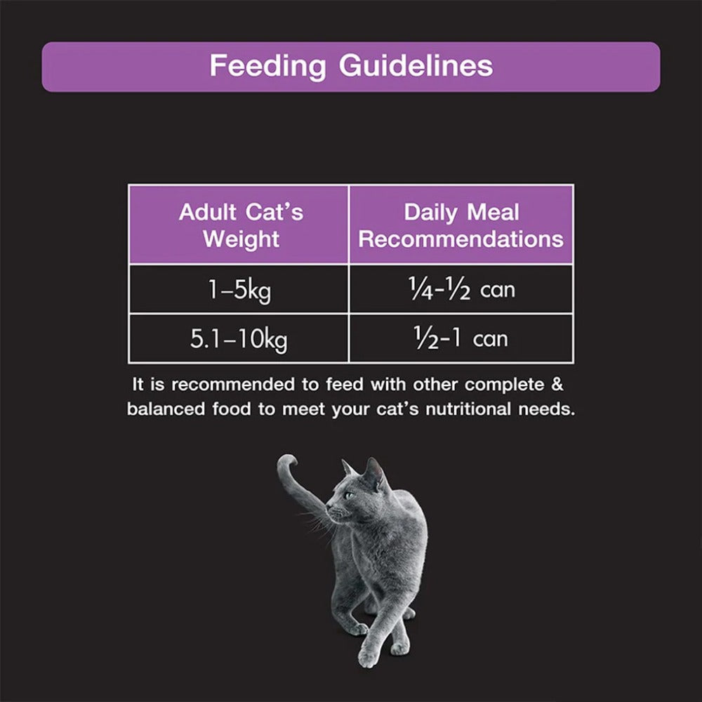 Sheba Pure Tuna Filets in Jelly Premium Cat Wet Food and Salmon Flavour Irresistible All Life Stages Cat Dry Food Combo