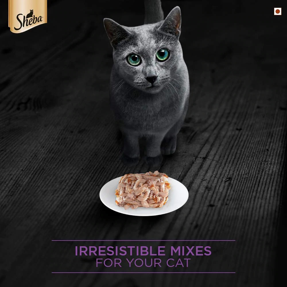 Sheba Pure Tuna Filets in Jelly Premium Cat Wet Food and Salmon Flavour Irresistible All Life Stages Cat Dry Food Combo