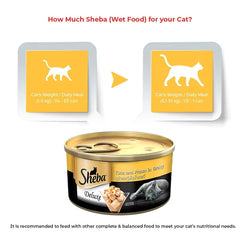 Sheba Tuna Fillet & Whole Prawns in Gravy Premium Cat Wet Food and Chicken Flavour Irresistible All Life Stage Cat Dry Food Combo