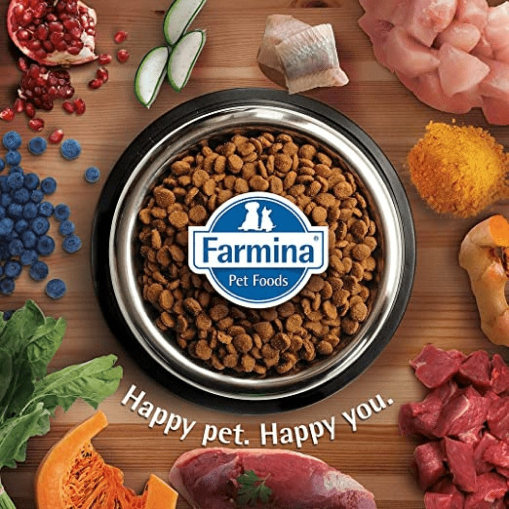 Farmina N&D Quinoa and Lamb Grain Free Weight Management Adult Cat Dry Food