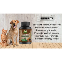 Cure By Design Chaga Mushroom Capsules for Dogs and Cats