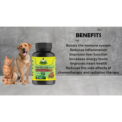 Cure By Design Cordycep Mushroom Capsules for Dogs and Cats