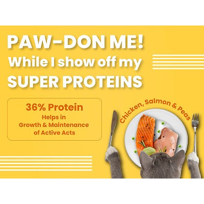 Bark Out Loud Salmon and Chicken Adult Cat Dry Food