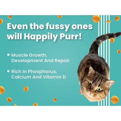 Bark Out Loud Salmon and Chicken Kitten Dry Food