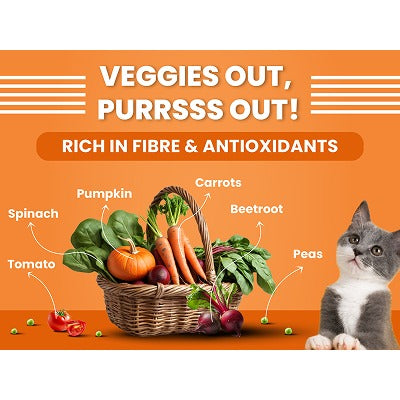 Bark Out Loud Salmon and Chicken Kitten Dry Food