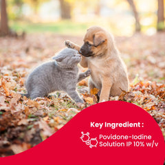 Beaphar Povidone Iodine Wound Healing Spray for Dogs and Cats