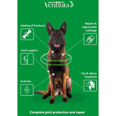 Venttura Inhancer Hip & Joint Soft Nuggets Supplements for Dogs