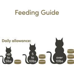 Applaws Tuna Fillet and Prawns Tinned Cat Wet Food (70g)