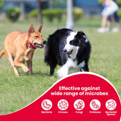 Beaphar Povidone Iodine Wound Healing Spray for Dogs and Cats