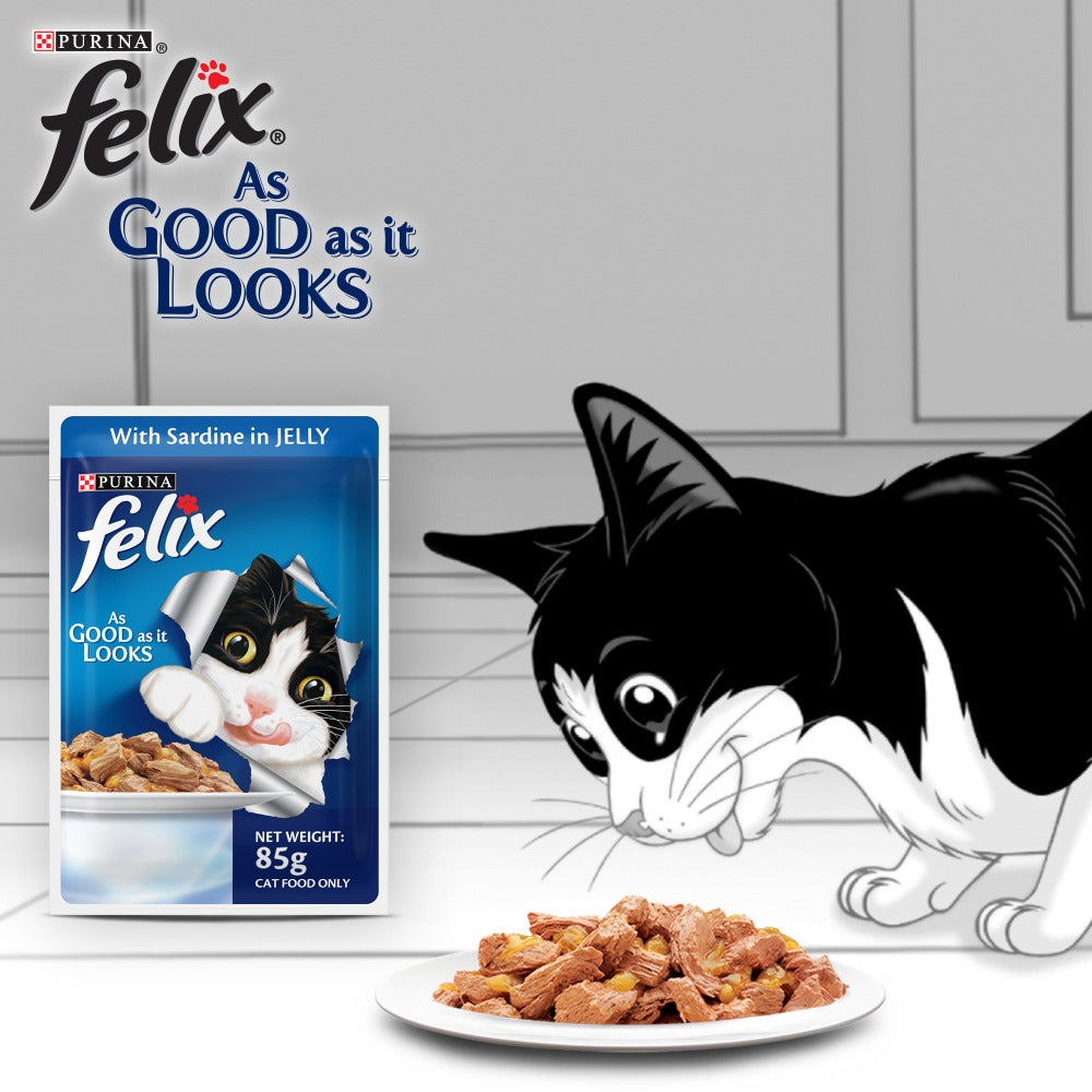 Friskies Seafood Cat Dry Food and Purina Felix Sardine with Jelly Adult Cat Wet Food Combo