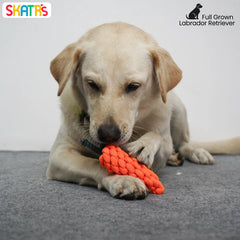 Skatrs Carrot Shaped Rope Chew Toy for Dogs and Cats (Orange)