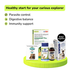 Preventive Care Kit Combo for Kitten (Dewormer + Spoton + Supplement + Probiotic)
