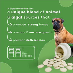 Venttura Calci Pro Plus Chewable Calcium Supplement Tablets for Dogs