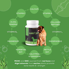 Venttura Calci Pro Plus Chewable Calcium Supplement Tablets for Dogs