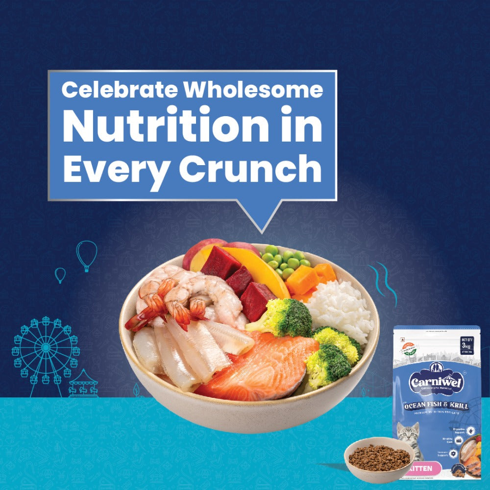 Carniwel Ocean Fish and Krill Dry Food and Whiskas Tuna in Jelly Kitten Cat Wet Food Combo