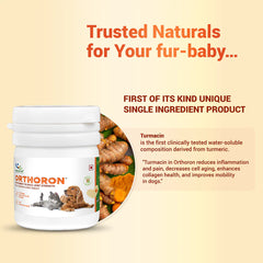 Natural Remedies Orthoron Joint Supplement Tablets for Dogs and Cats