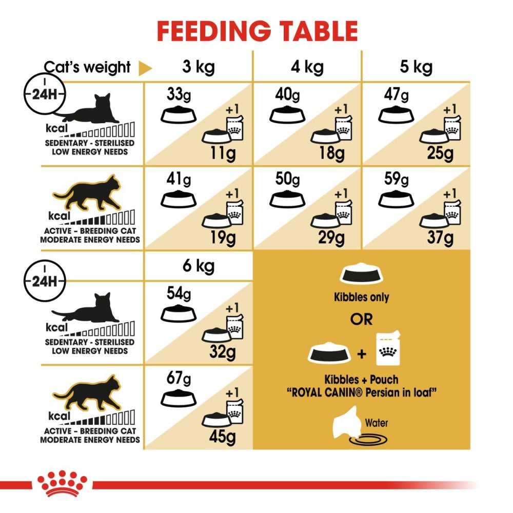 Royal Canin Persian Adult Cat Dry and Wet Food Combo
