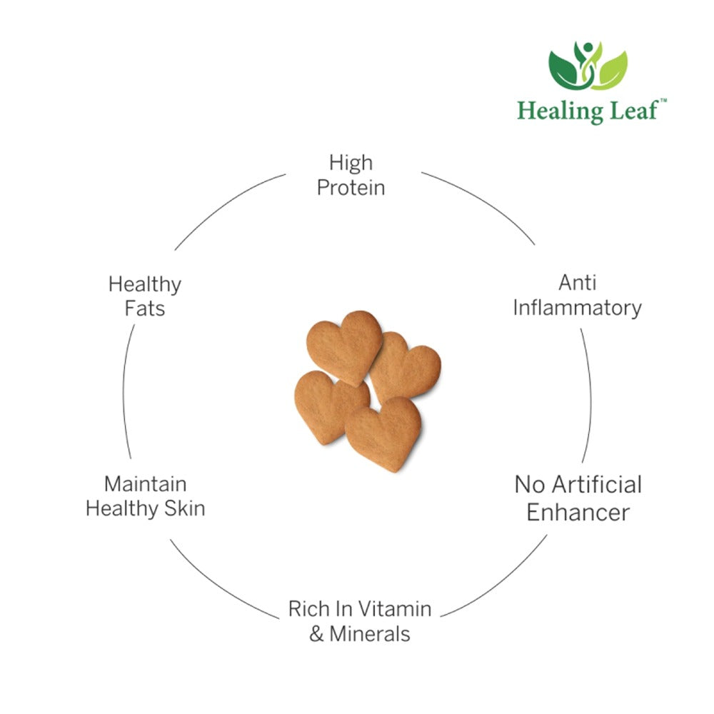 Healing Leaf Hemp Pumpkin Dog Treats