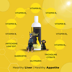 Venttura Livo Plus Liver Supplement Syrup for Dogs