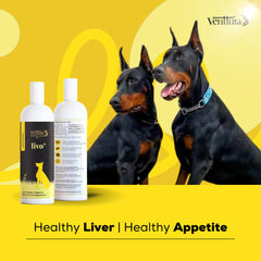 Venttura Livo Plus Liver Supplement Syrup for Dogs