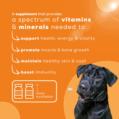 Venttura Nutri Plus Pro Multi Vitamin Chewable Tablets for Dogs