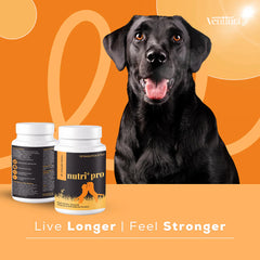 Venttura Nutri Plus Pro Multi Vitamin Chewable Tablets for Dogs