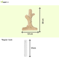 Talking Dog Club Branch Out Wood Heavy Chew Toy for Dogs (Brown)