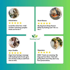 Healing Leaf Hemp Protein Powder for Dogs and Cats