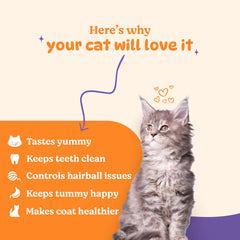 Basil Purrfect Tuna and Cranberry Dental Stick Cat Treat