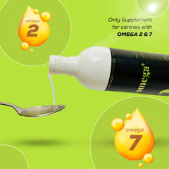 Venttura Omega 3 Plus Skin & Coat Syrup for Dogs