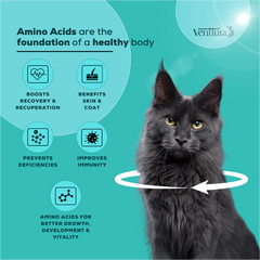Venttura Amino Acids & Vitamin Supplement for Cats