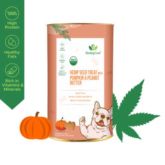 Healing Leaf Hemp Pumpkin Dog Treats