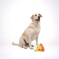Skatrs Pizza Plush Toy for Dogs and Cats